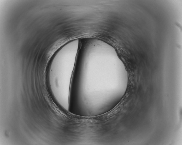 X0000095910242200801110834