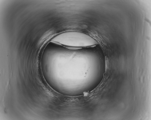 X0000095910243200801110834