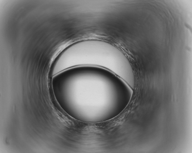 X0000095910244200801110834
