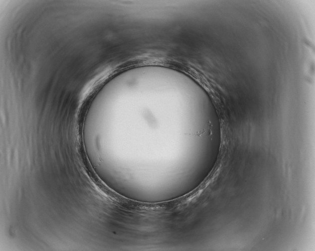 X0000095910245200801110834