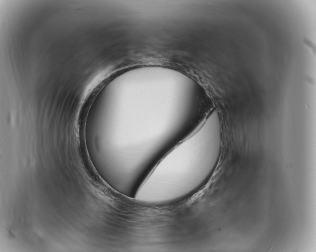 X0000095910246200801110834