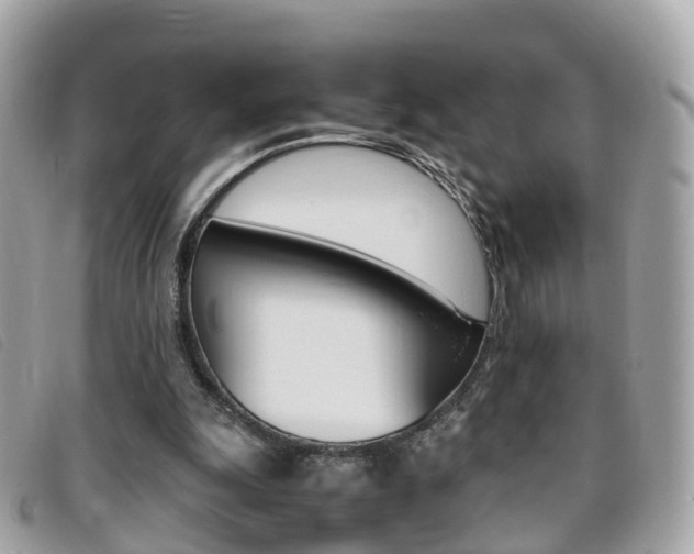 X0000095910247200801110834