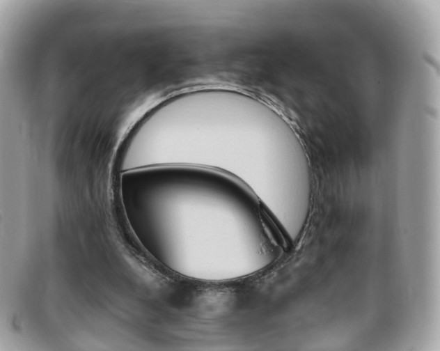 X0000095910248200801110834