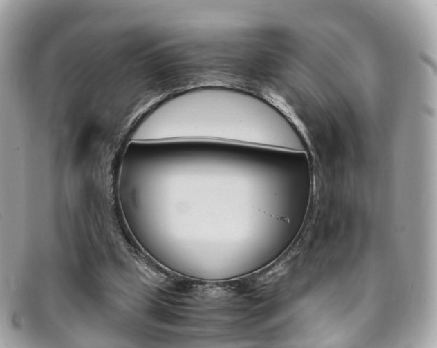 X0000095910249200801110834