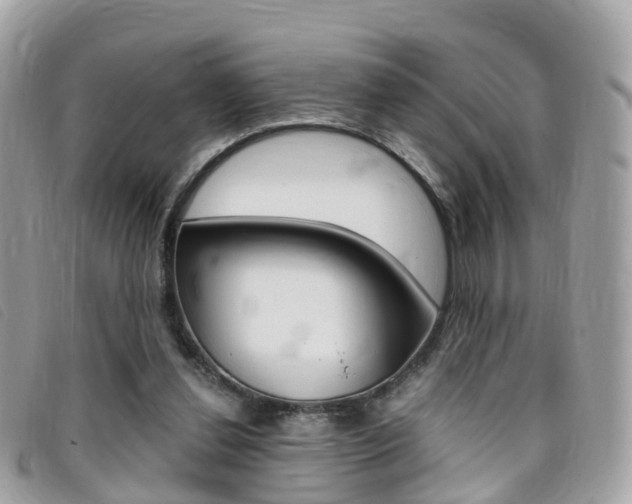 X0000095910252200801110834