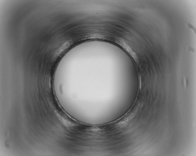 X0000095910253200801110834