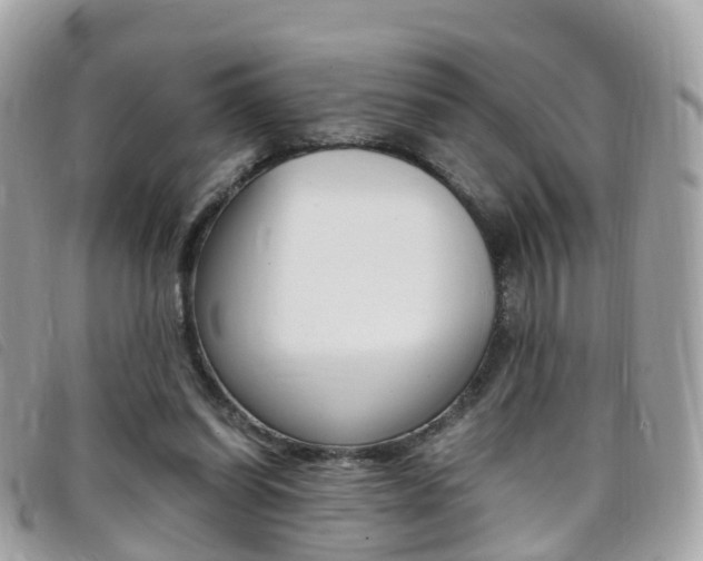 X0000095910254200801110834