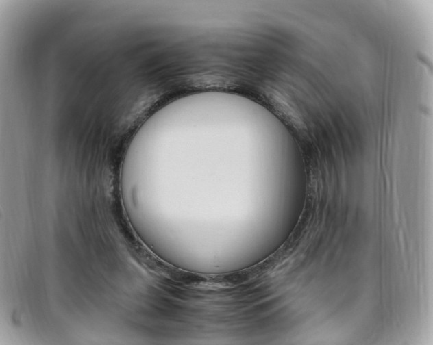 X0000095910255200801110834