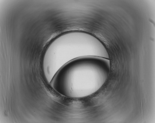 X0000095910256200801110834