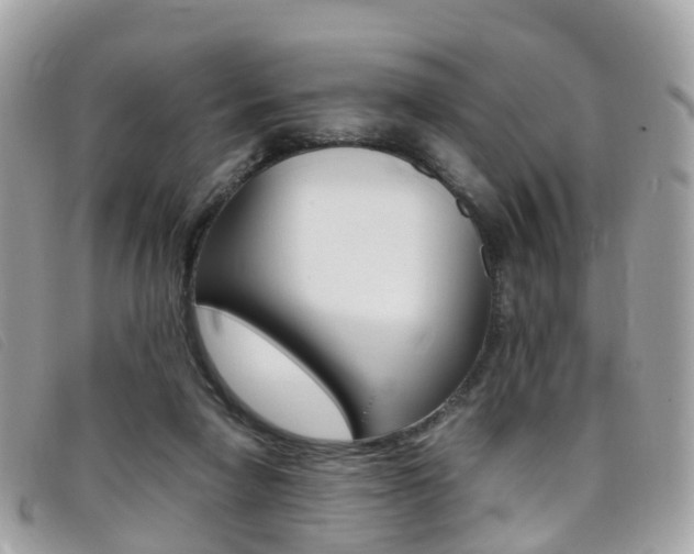 X0000095910258200801110834