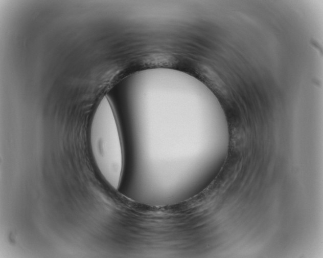 X0000095910259200801110834