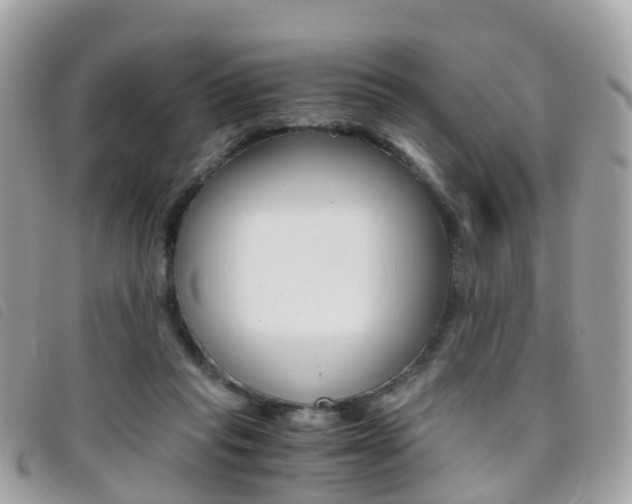 X0000095910261200801110834