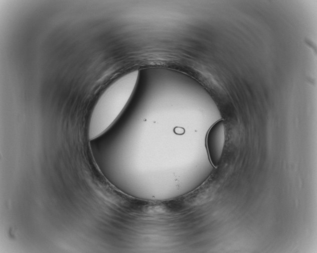 X0000095910262200801110834