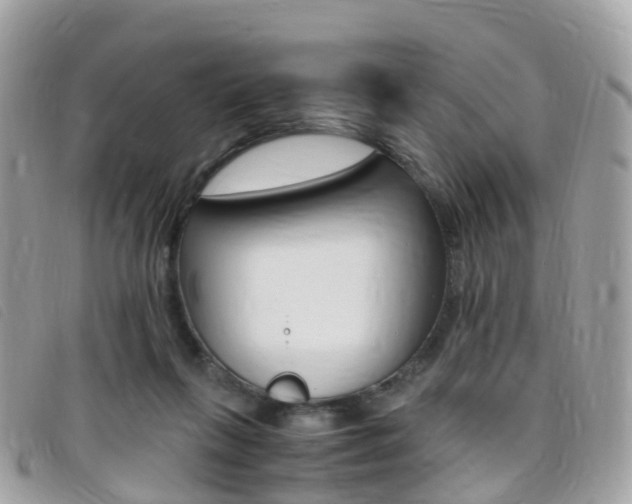X0000095910263200801110834