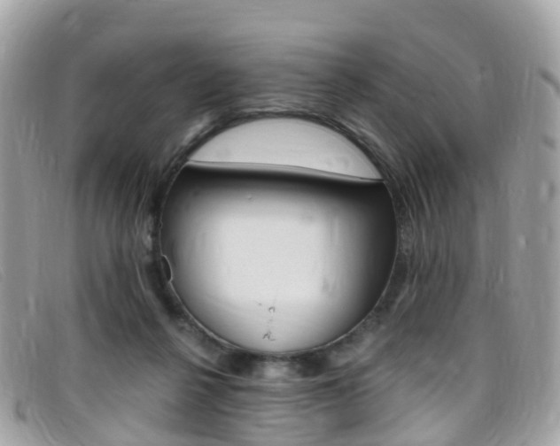 X0000095910264200801110834