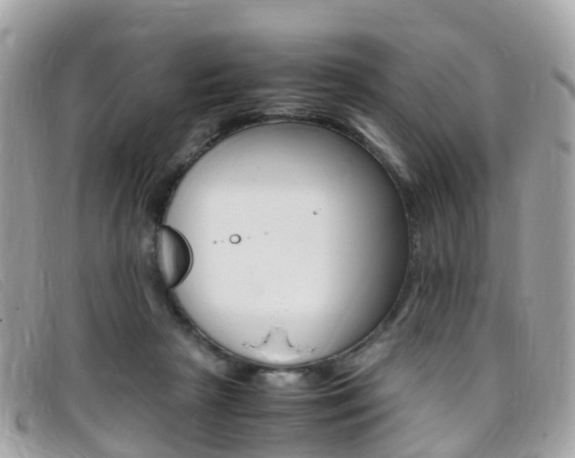 X0000095910265200801110834