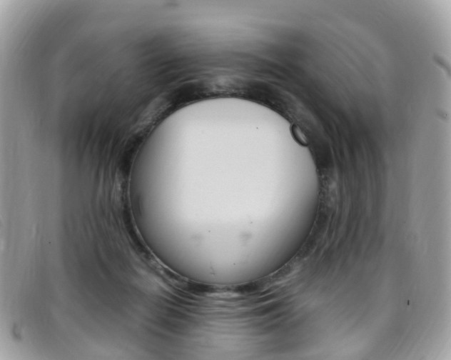 X0000095910266200801110834