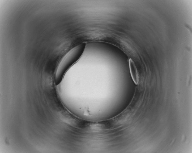 X0000095910268200801110834