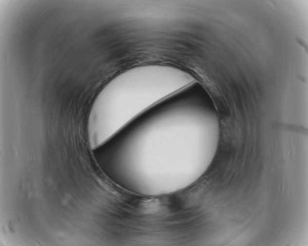 X0000095910269200801110834