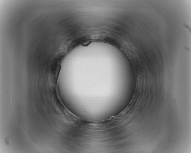 X0000095910272200801110834