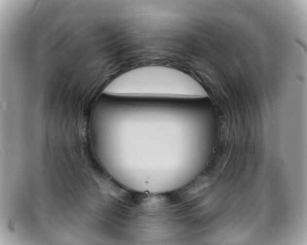 X0000095910274200801110834