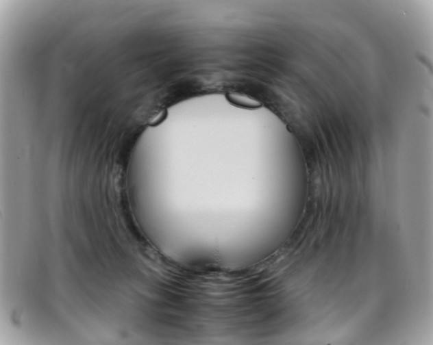 X0000095910275200801110834