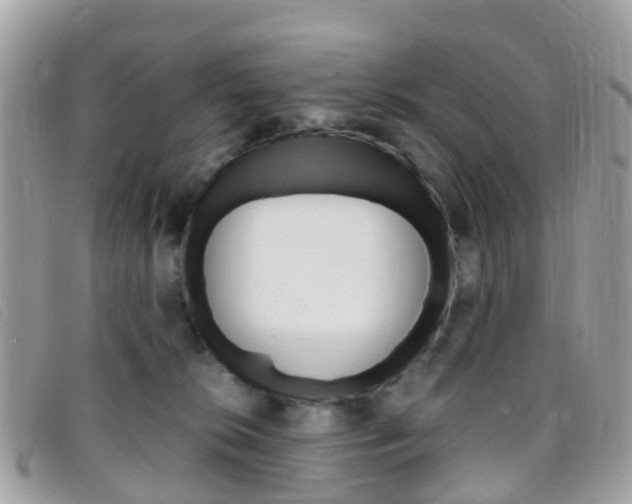 X0000095910276200801110834