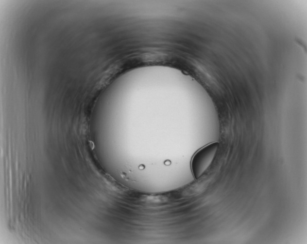 X0000095910277200801110834