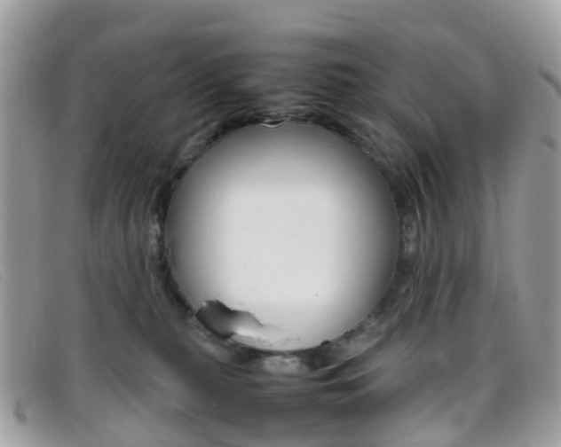 X0000095910279200801110834