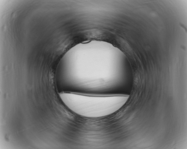 X0000095910282200801110834