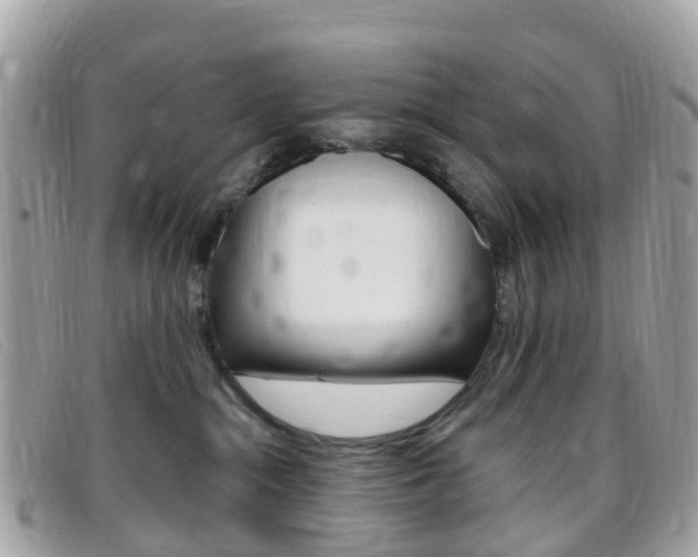 X0000095910284200801110834