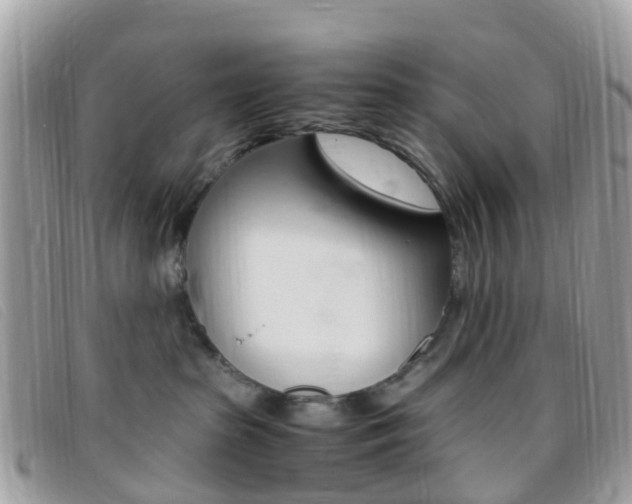 X0000095910285200801110834