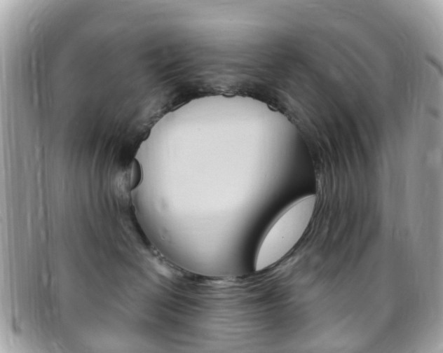 X0000095910286200801110834