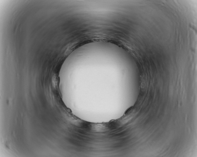 X0000095910287200801110834