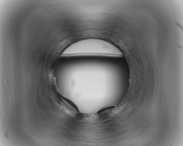X0000095910288200801110834