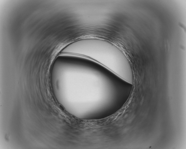 X0000095910289200801110834