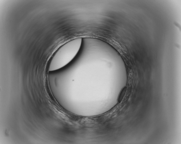 X0000095910290200801110834