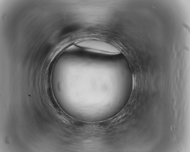 X0000095910291200801110834