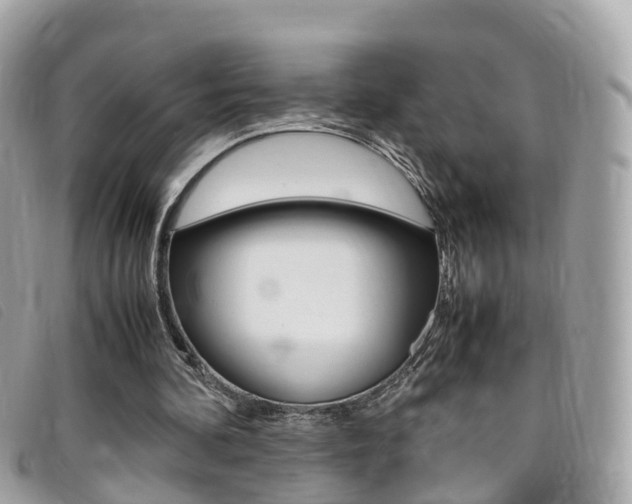X0000095910292200801110834
