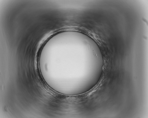 X0000095910294200801110834