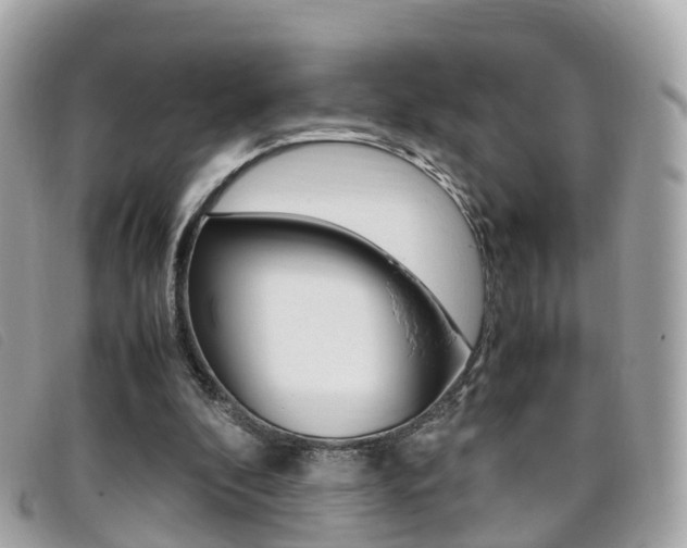 X0000095910296200801110834