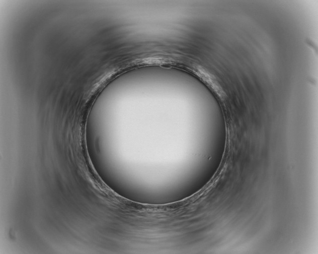 X0000095910297200801110834