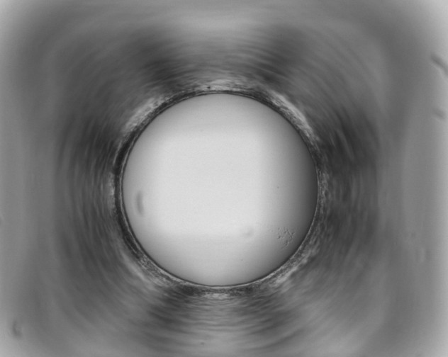 X0000095910298200801110834