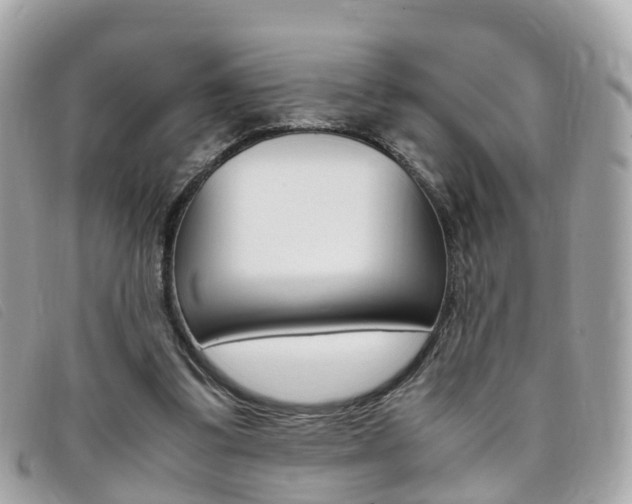 X0000095910299200801110834