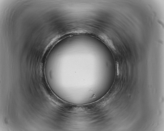 X0000095910300200801110834