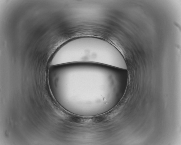 X0000095910301200801110834