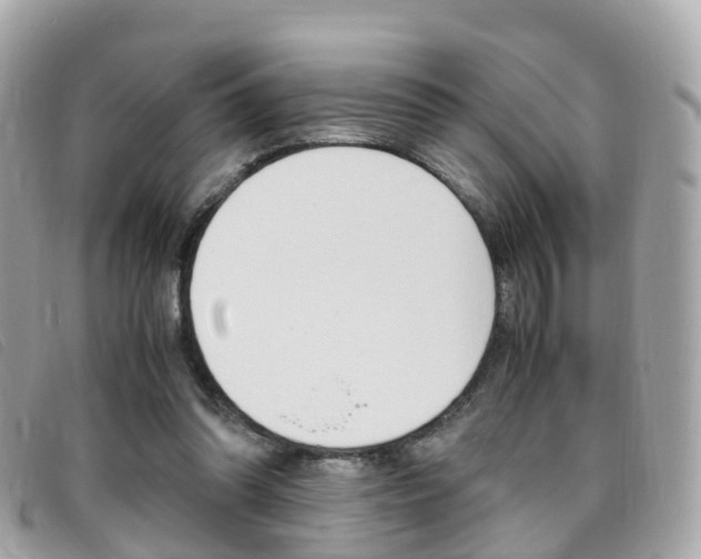 X0000095910302200801110834