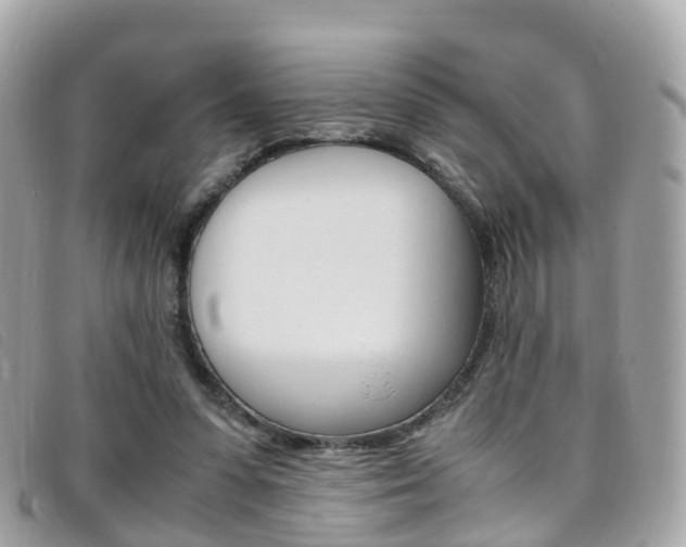 X0000095910303200801110834