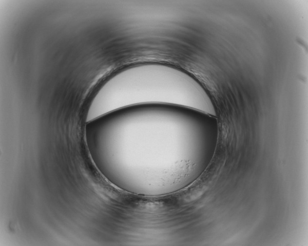 X0000095910304200801110834