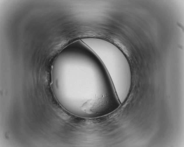 X0000095910305200801110833